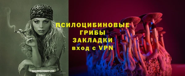 ECSTASY Бородино