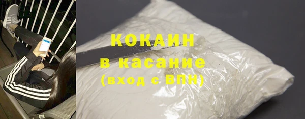 ECSTASY Бородино