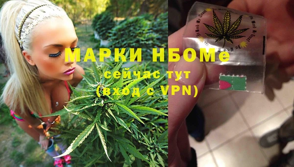 ECSTASY Бородино