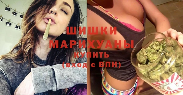ECSTASY Бородино