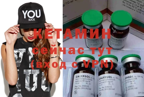 ECSTASY Бородино