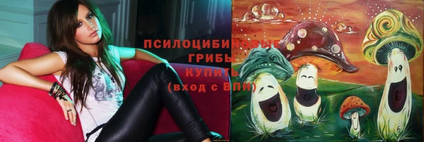 ECSTASY Бородино